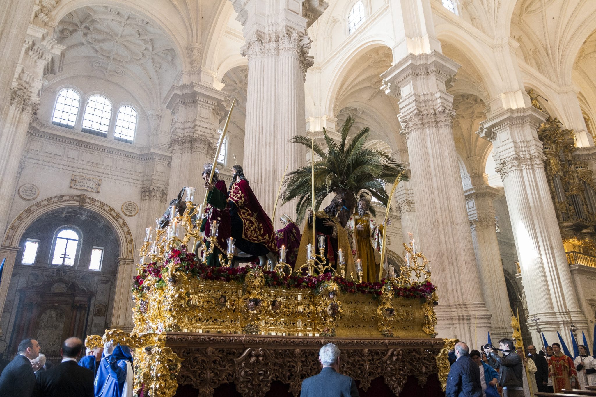 Semana Santa en Granada - Borriquilla