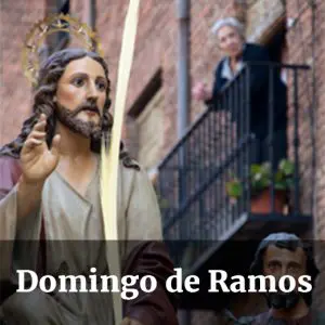 Botón Domingo de Ramos, León
