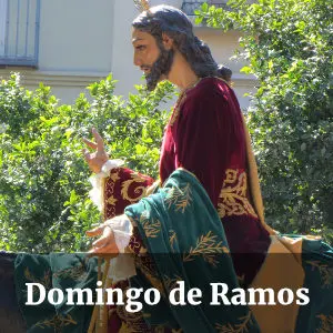 Botón Domingo de Ramos, Málaga