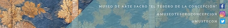 banner redes El Tesoro de la Concepción