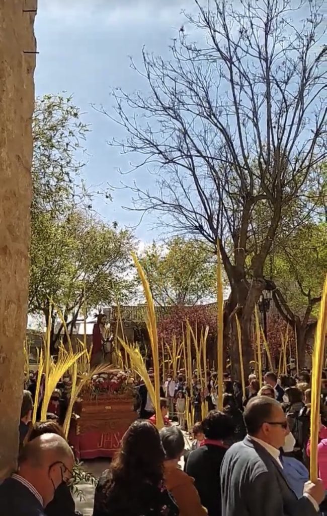 Semana Santa en Corral De Almaguer, Procesión De Las Palmas