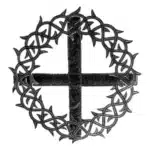 Vera Cruz