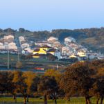 Cardeña