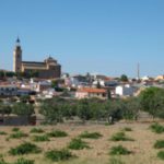 Cebolla
