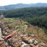 La Palma De Cervello