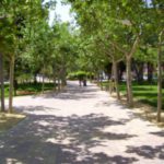 Las Torres De Cotillas