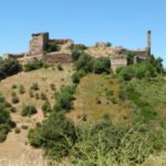 Losacino