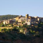 Talarn