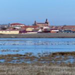 Villafafila