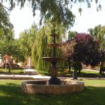 Algodre