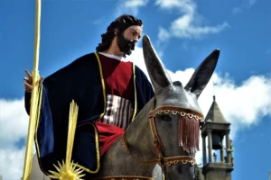 Domingo De Ramos, Borriquita (Plasencia)